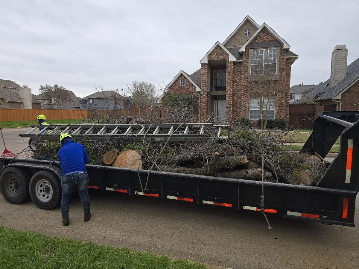 Expert Tree Pest Control with proper safety equipment in Huttig